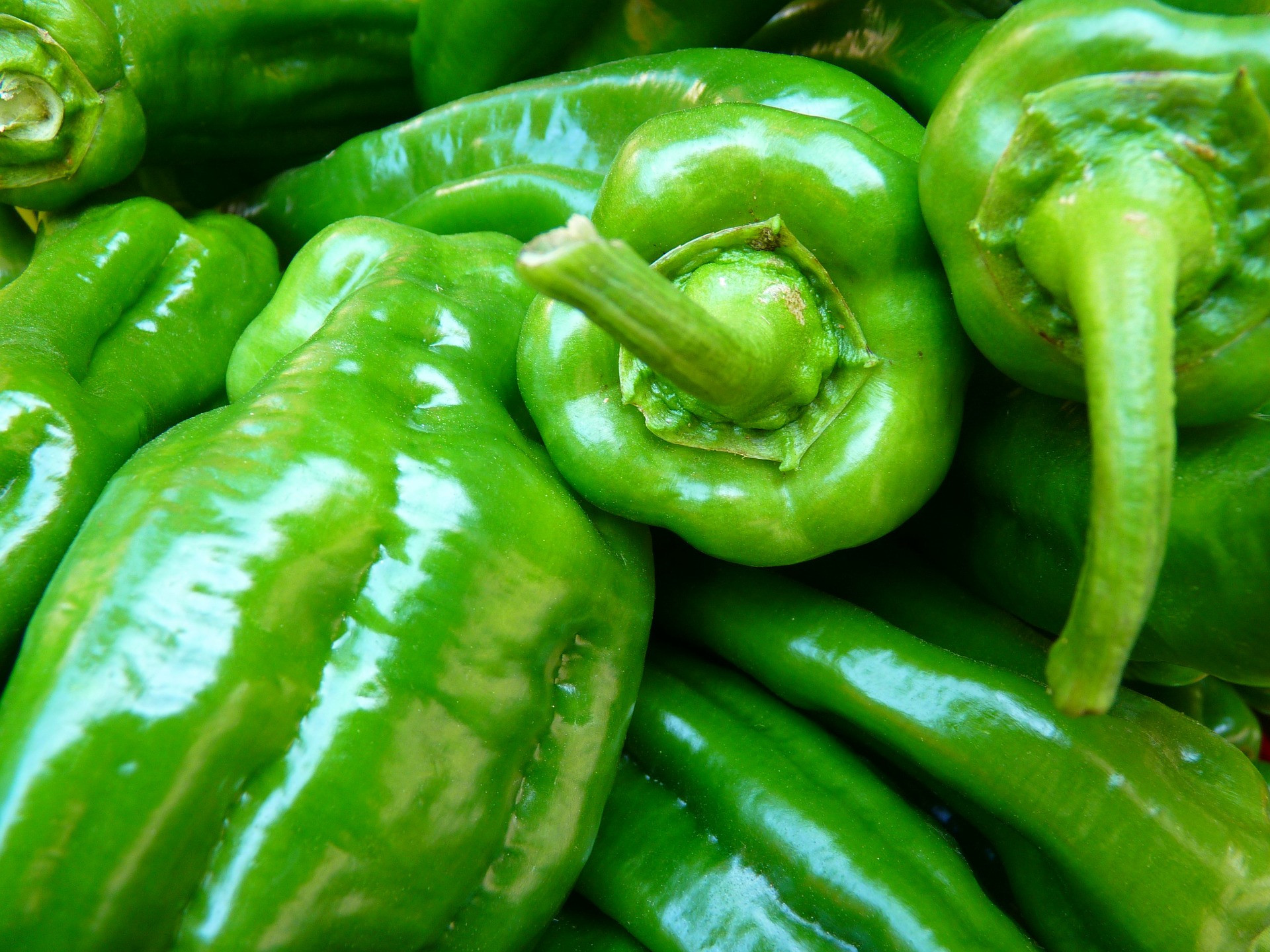Green Peppers - Plant A Row - Lehigh Valley.